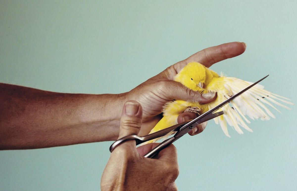 ???????????????????????????????????????????????????????????????????????????????????????????????????????