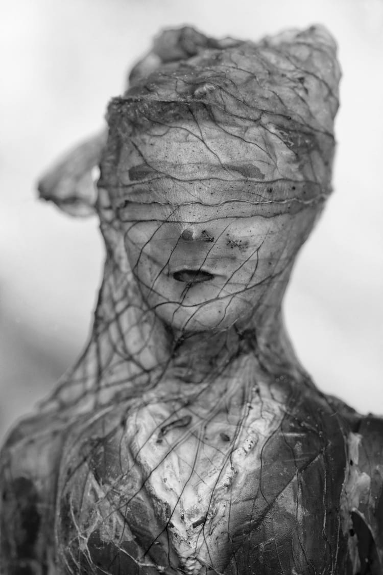 Keiser_Susan_The+Last+Wave+By+No.26+copy+2