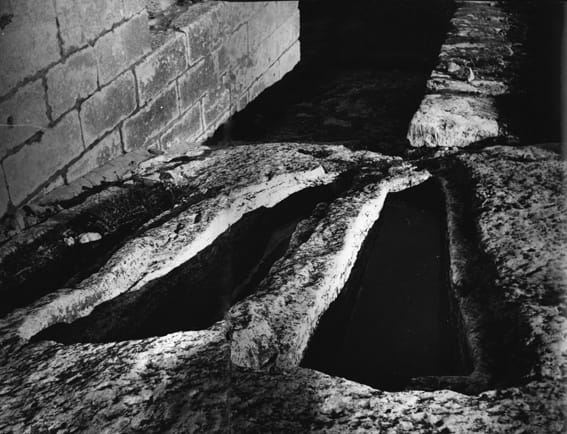 la_nuit_de_la_terre_image_full