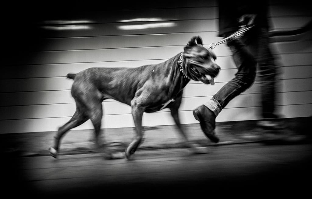 _mcbride_clay_patrick_00190