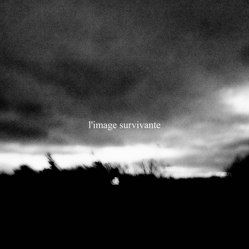 med__eva_truffaut_3-jpg