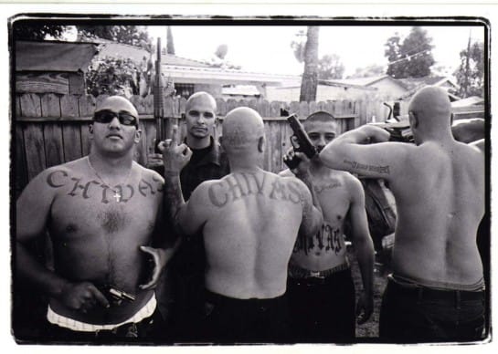 med_gangster-images263-jpg-545x388