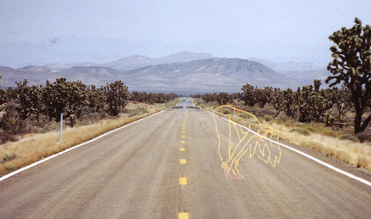 NeonMamacita_EasyRider_Desert11