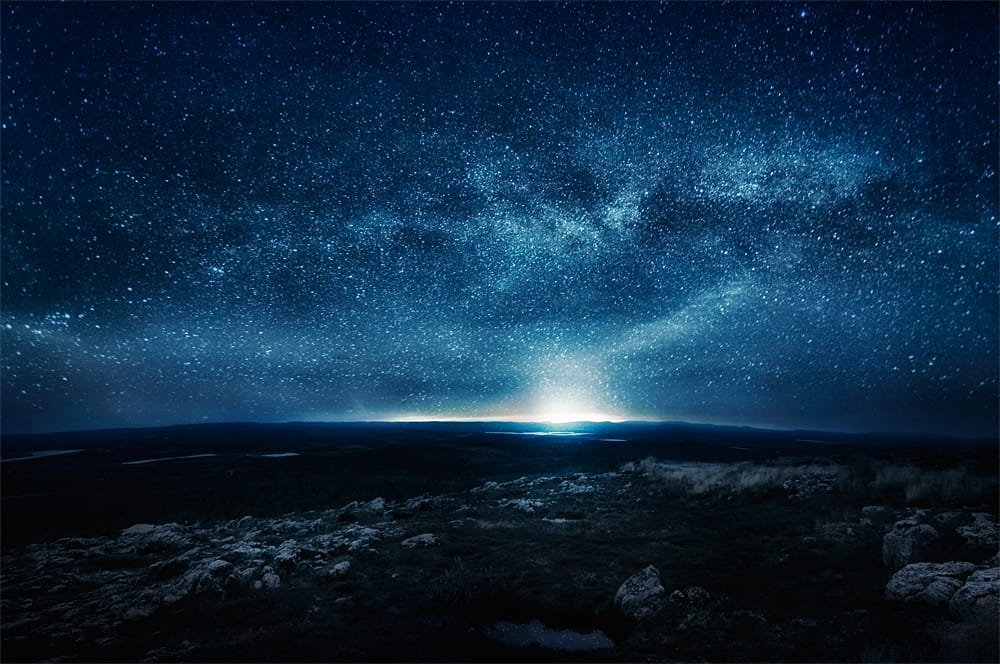 Night+by+Mikko+Lagerstedt