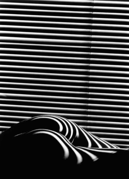 Nu-zebrsse_image_full