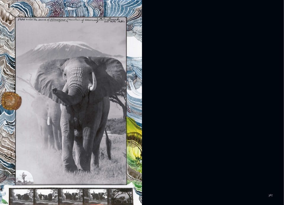 page_fo_beard_1_vol_366_367_1309161849_id_728230