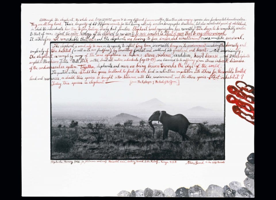 page_fo_beard_1_vol_374_375_1309161853_id_728320