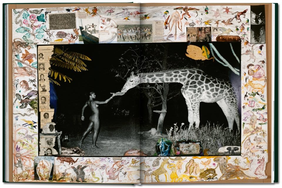 page_fo_beard_1_vol_3d_open_2400_1310211734_id_744180