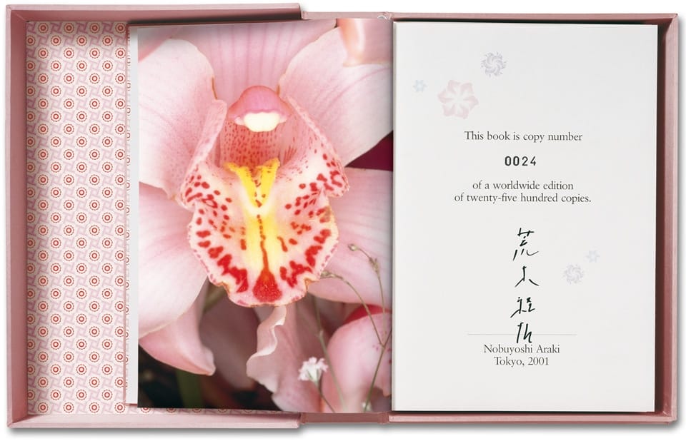 page_su_araki_01_1111081539_id_40306