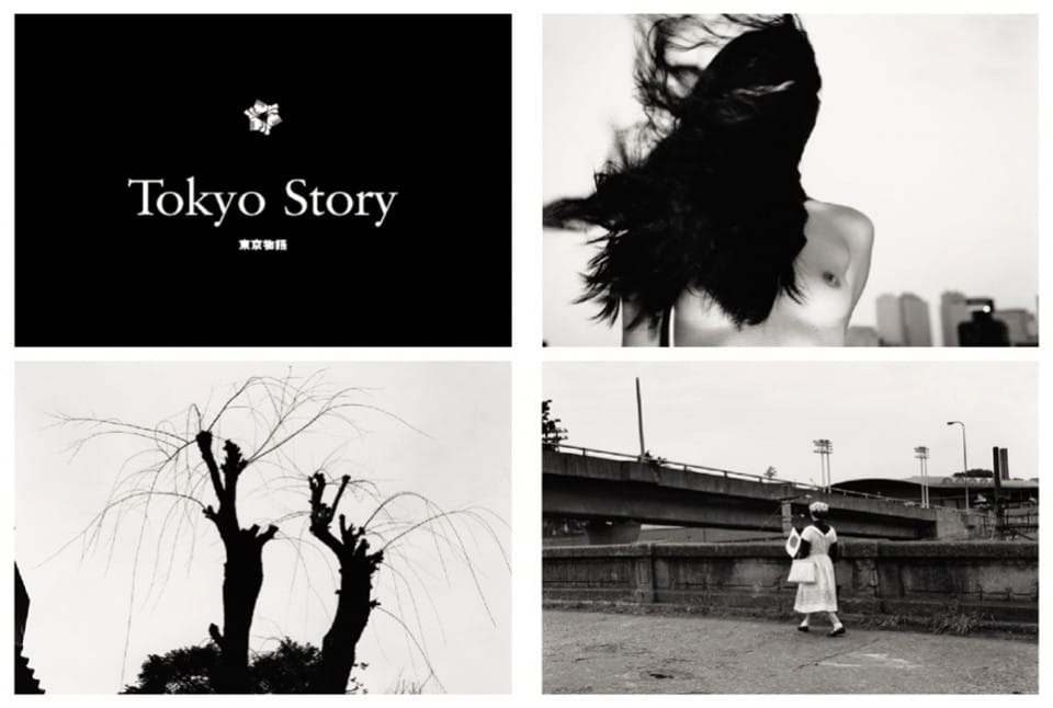 page_su_araki_02_0706111150_id_40316