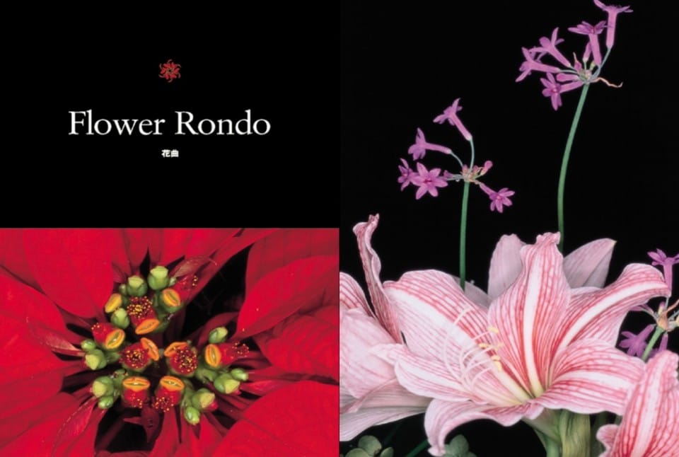 page_su_araki_04_0706111150_id_40336