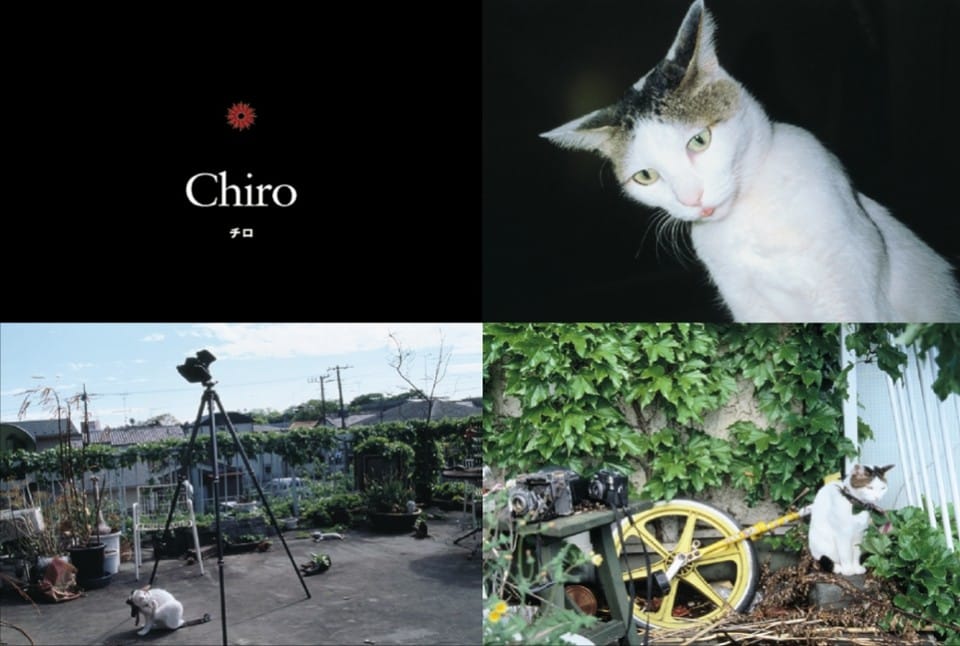 page_su_araki_07_0706111150_id_40366