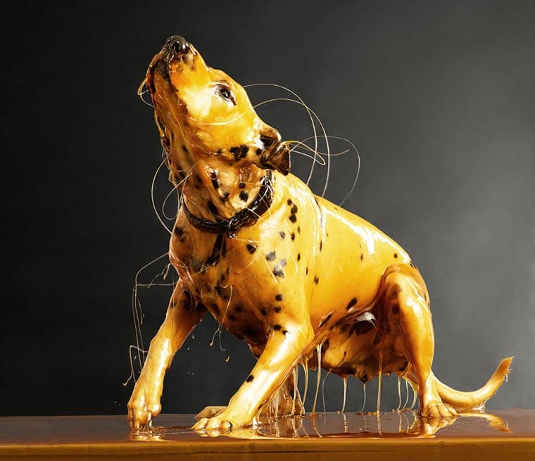 Preservation-Blake-Little-6