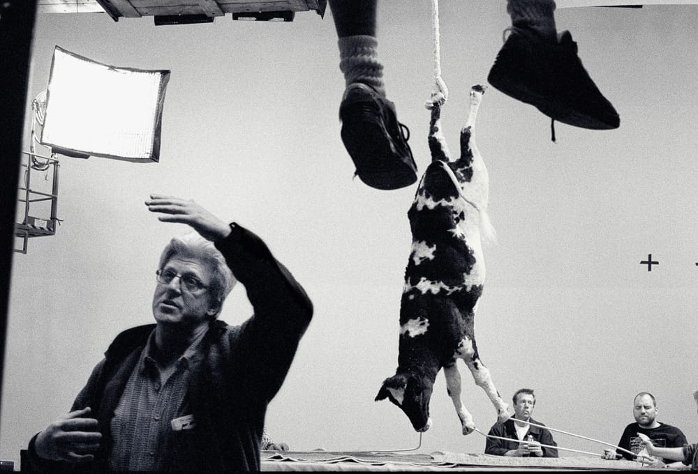 Rat Race: preparing for green screen shot, 2001