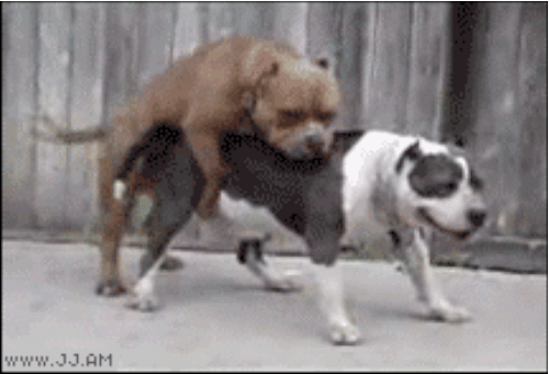 Reddit-Sexual-Experience-34