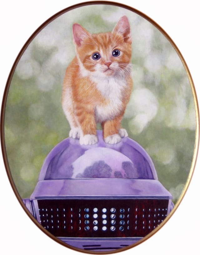 rediscovery5312012318