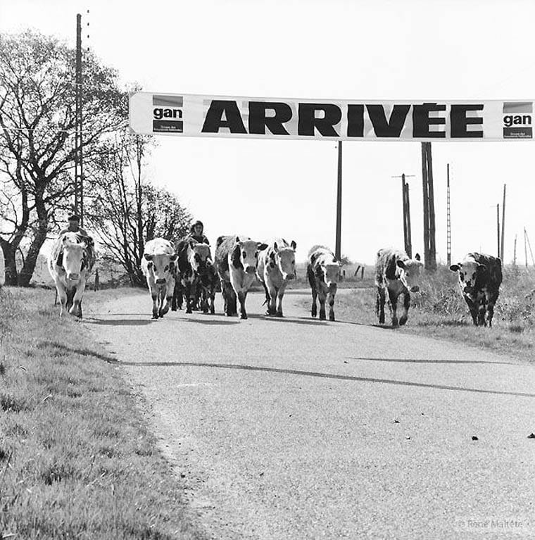 Rene-Maltete-photographie-3