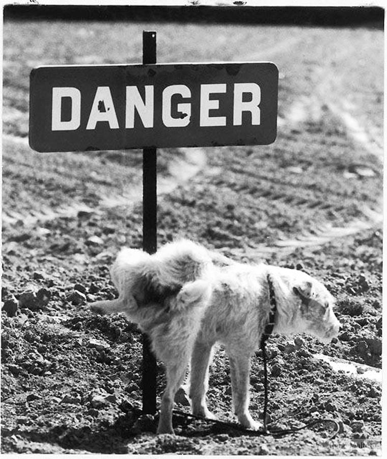 Rene-Maltete-photographie-9