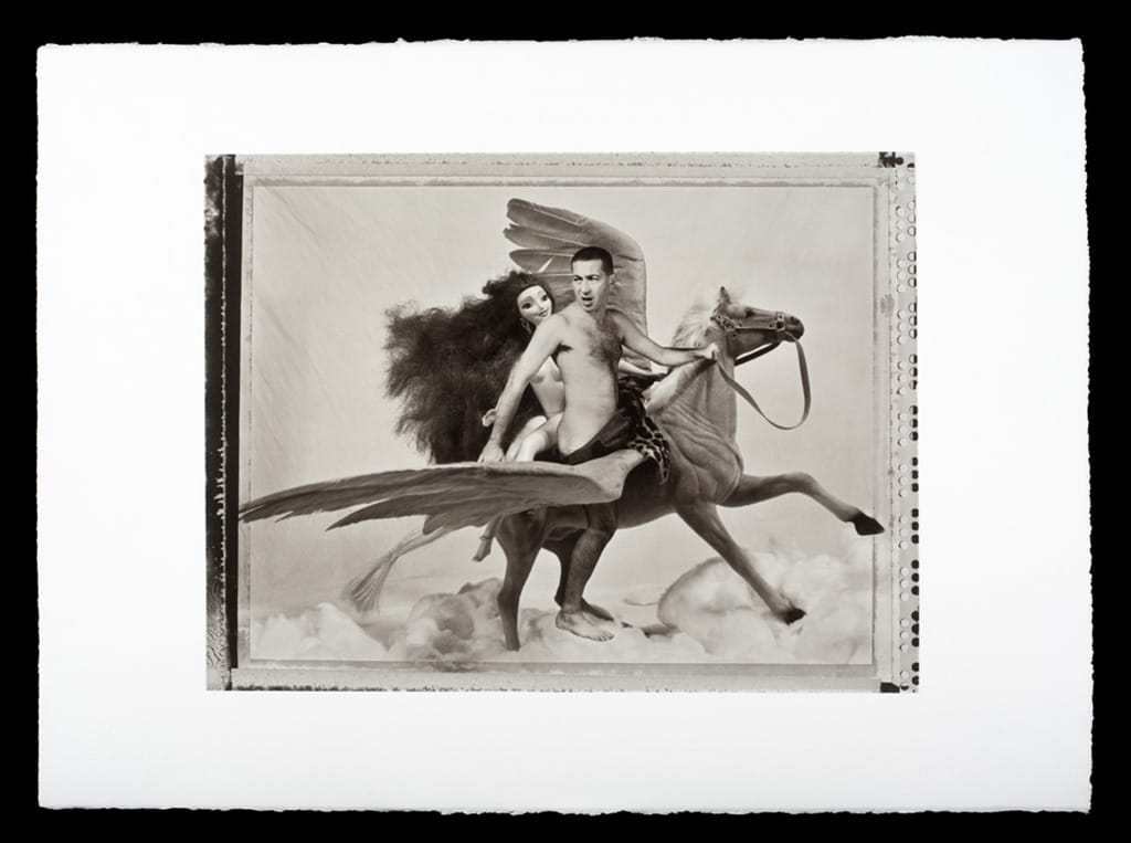 repro_pegase_platine