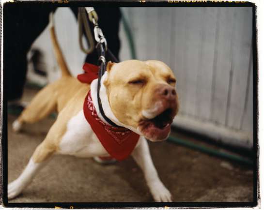 Screen-shot-2013-12-18-at-8.12.29-AM-545x434