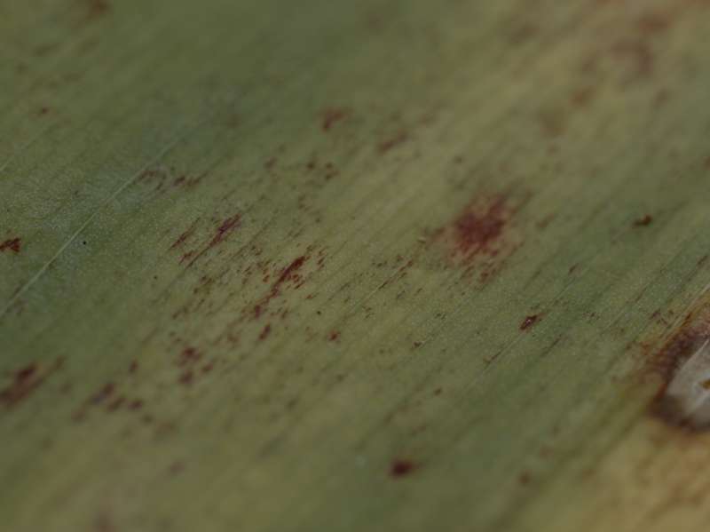 Skrmbillede-2014-10-09-20.34.26_905