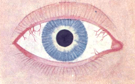 tumblr_m5sdx1d0ht1rt28efo1_500