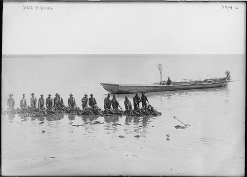 tumblr_m8bb85DAhT1r0kdxho1_500