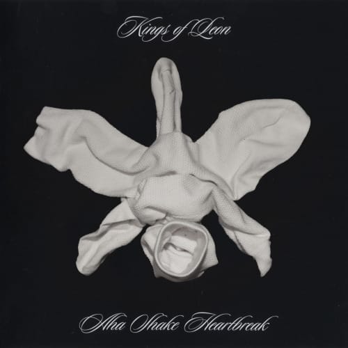 tumblr_mboyyseTCx1rd1aiko1_500