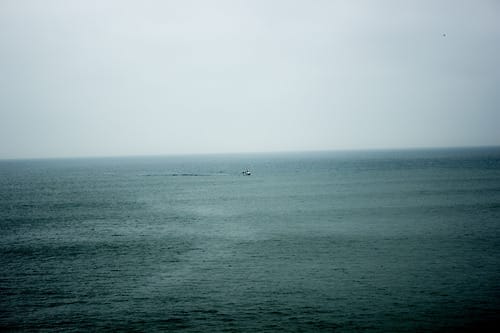 tumblr_mdg5k1PYSa1qmg8n1o1_500