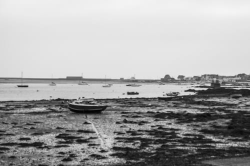 tumblr_mjro29STt61qmg8n1o1_500