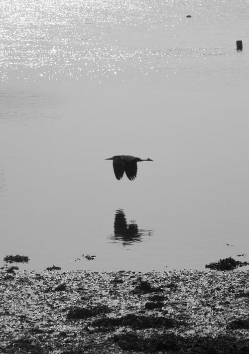 tumblr_mjro4evkbC1qmg8n1o1_500