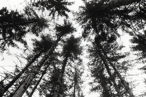 tumblr_mskflcm9jJ1qmg8n1o1_500