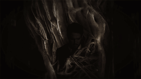 tumblr_mvvgd7UJlP1r0kdxho1_500