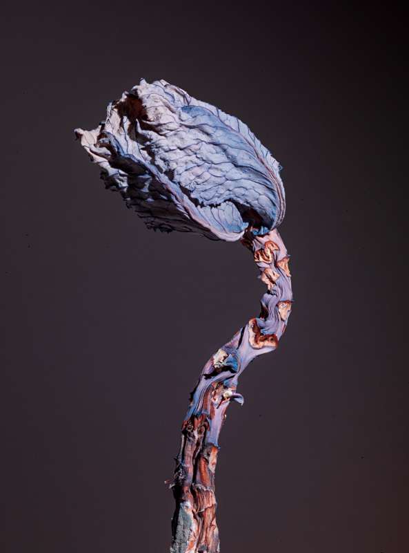 tumblr_my4jnhrUJD1s3g0wpo1_1280