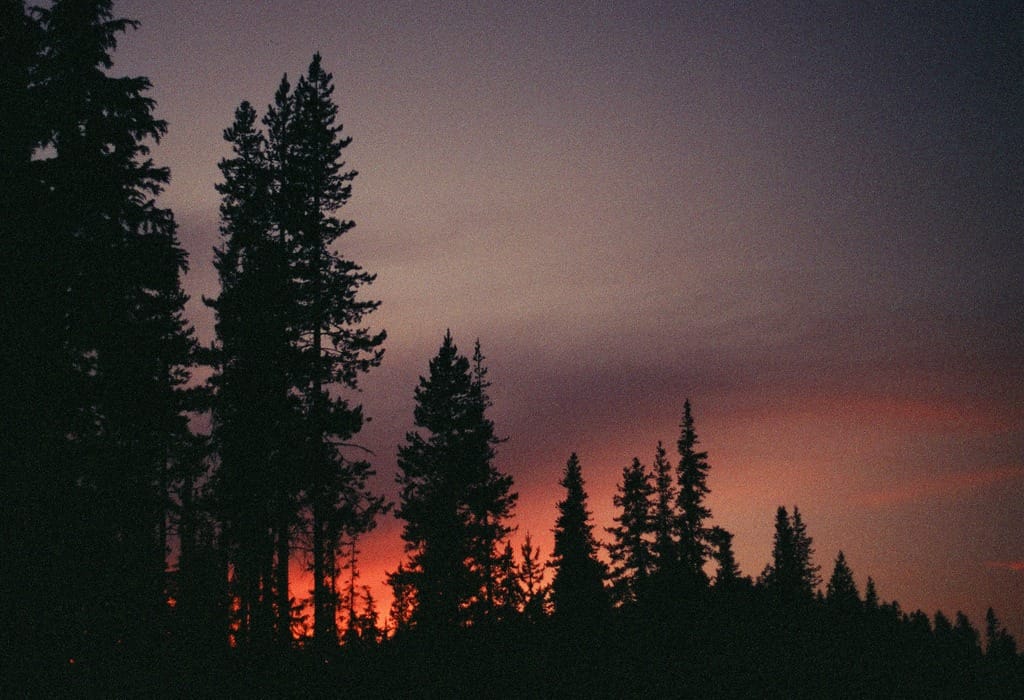 tumblr_nbwofwGvnZ1sxyymto1_1280