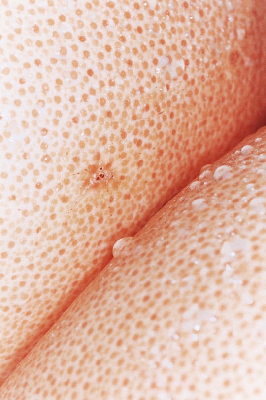 tumblr_nkah421DZY1qjg75jo1_540