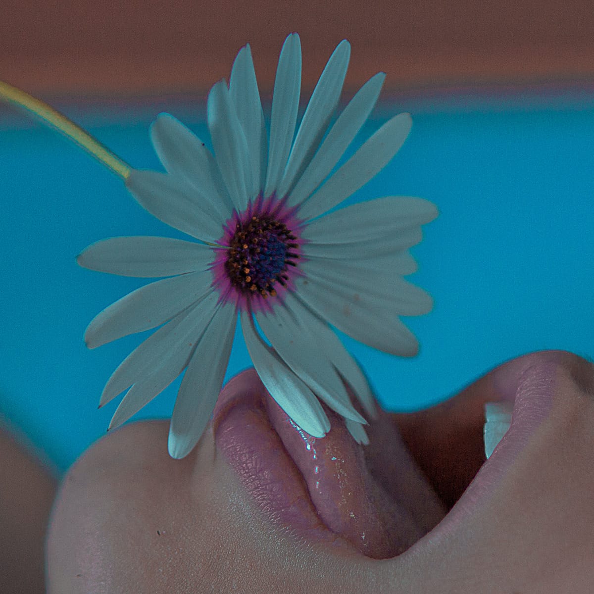 tumblr_o0rkz7srE31qgpn6lo3_1280