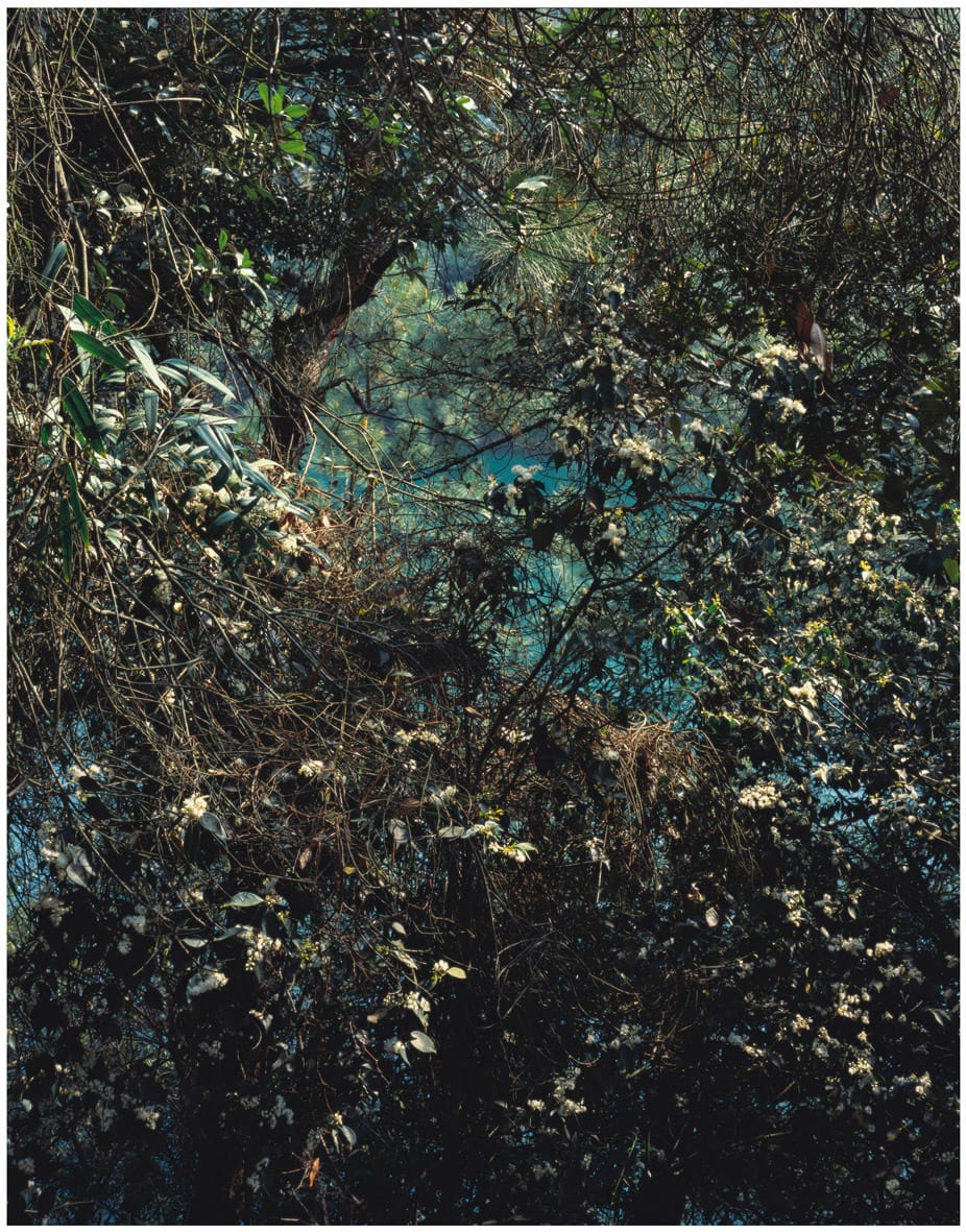 Waking-from-Hibernation-No.3_-_2012__-120cm-x-94cm_-Pigment-Print-on-Fine-Art-Baryta-Paper-_-Shan-Feiming.-Courtesy-of-M97-Gallery-_-Shanghai