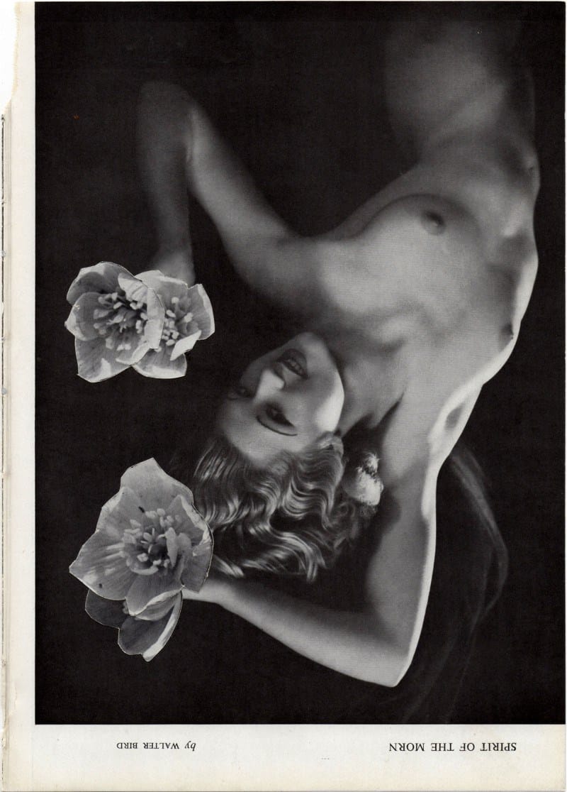 woman-2-e1436913402376