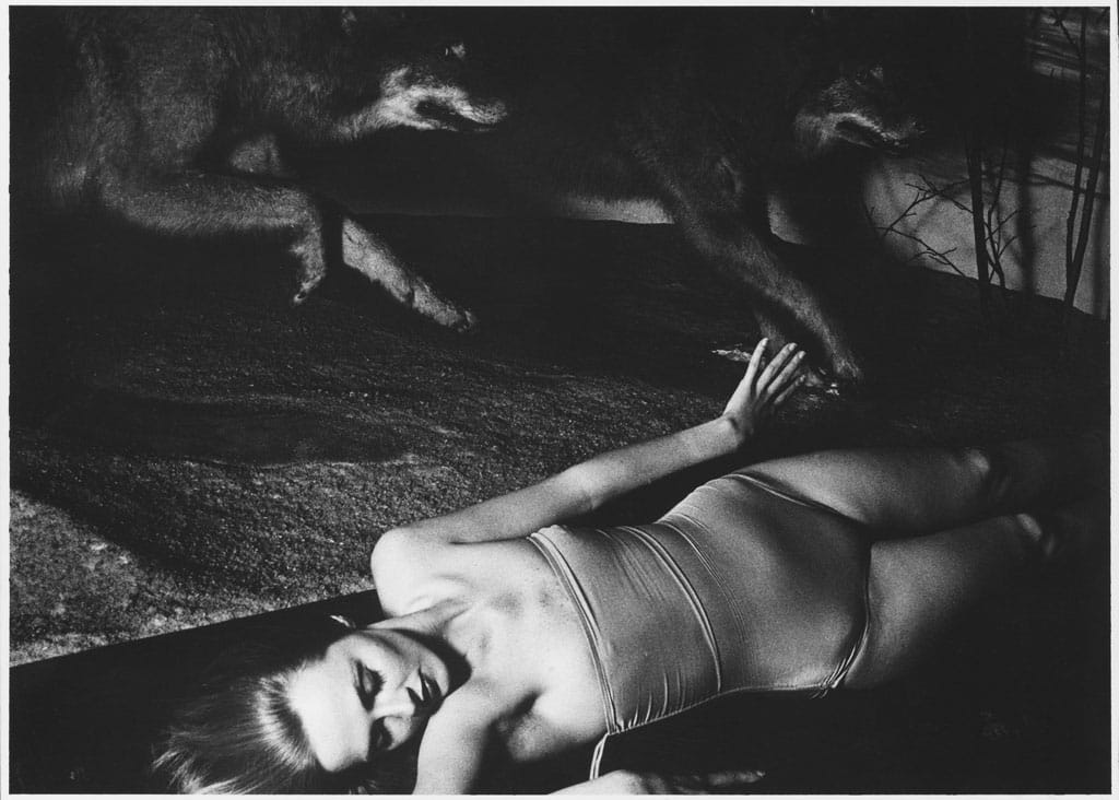 Woodman-MGG-NY-2015-Preview---All-Works-12