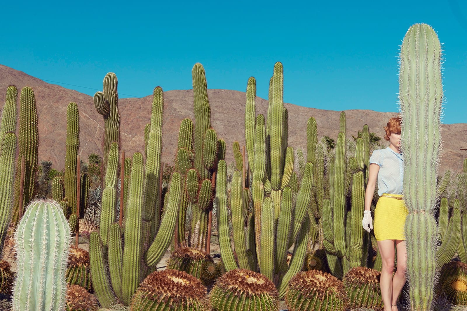 kourtney-roy_california_32