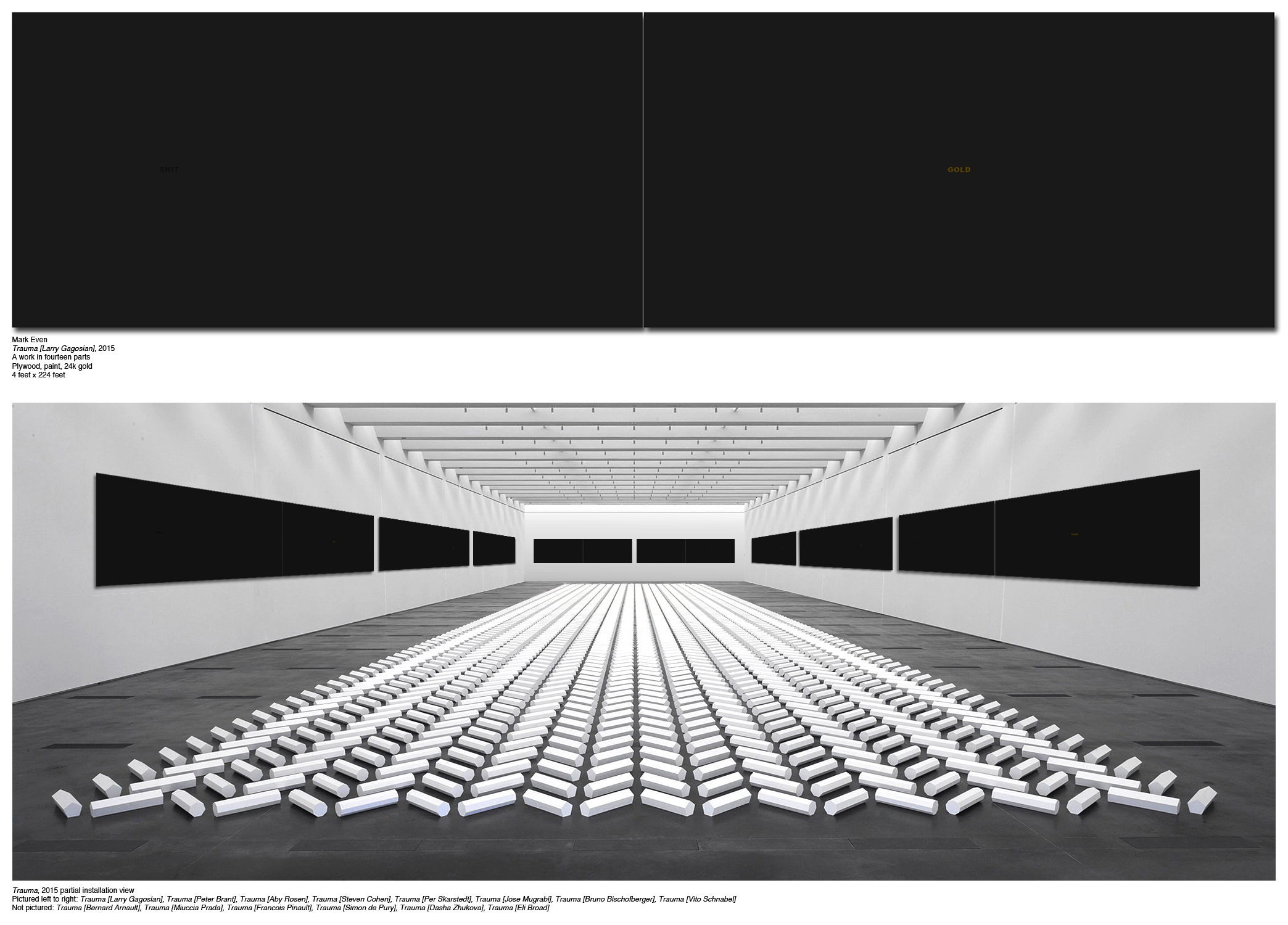 mark-even_trauma_2015_partial-installation