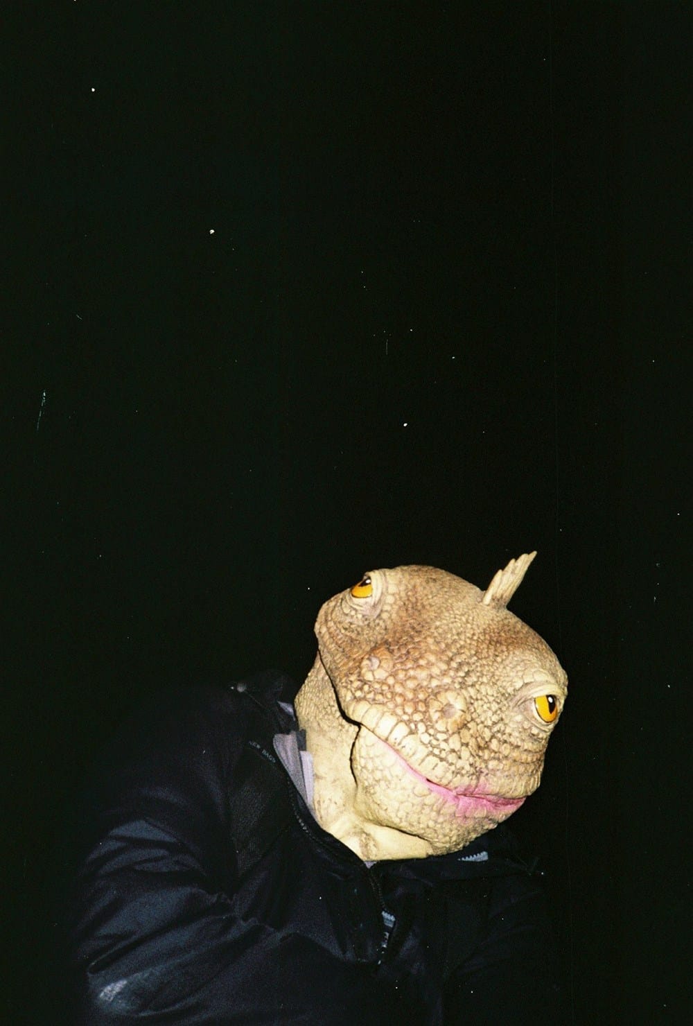 trip_thelondonvagabond_15